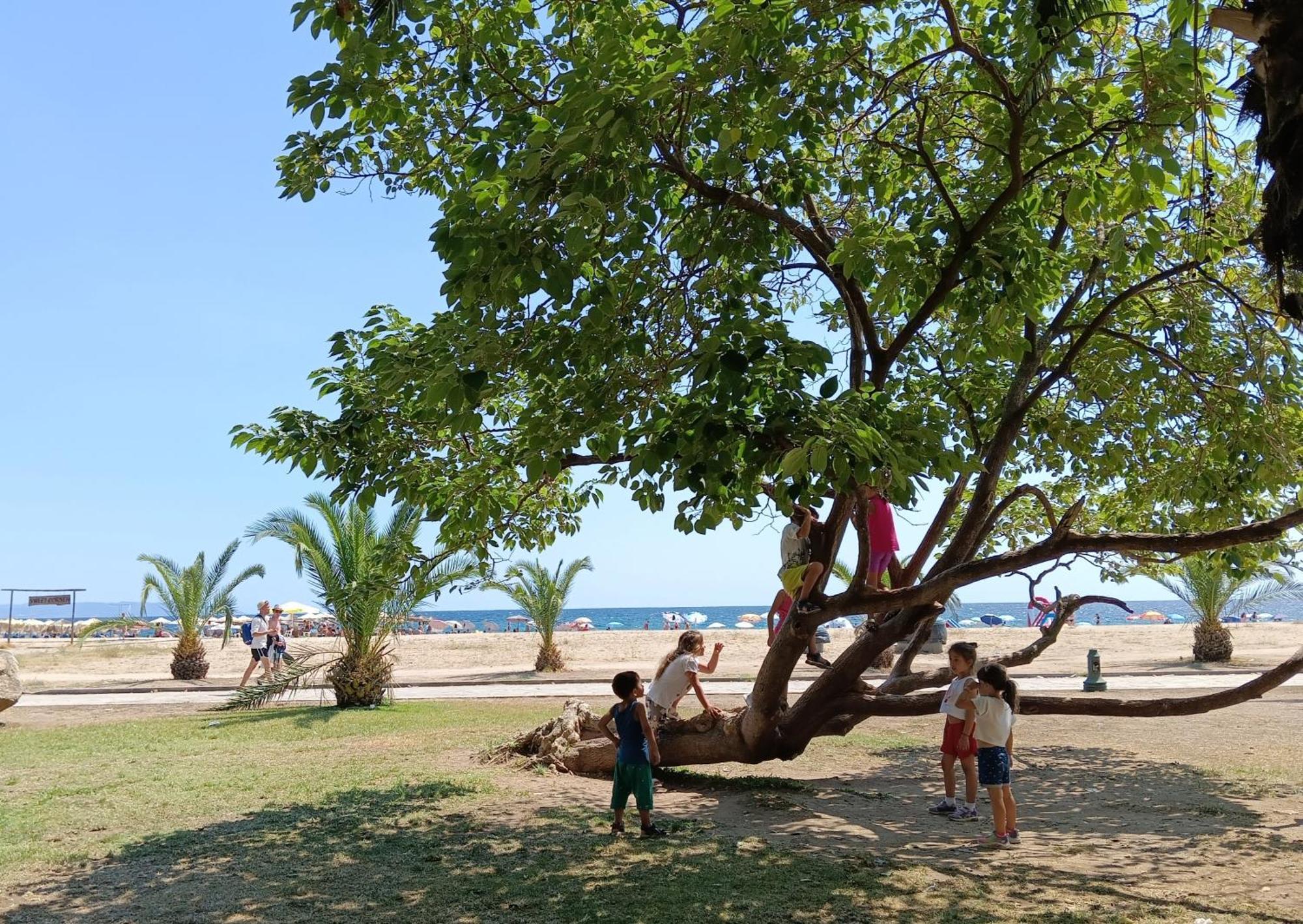 Medusa Beach Apartment, Asproválta Ngoại thất bức ảnh